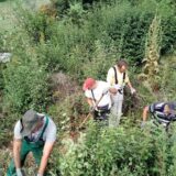 Negotin: Održavanje muzejskih lokaliteta kroz odobreni javni rad 14