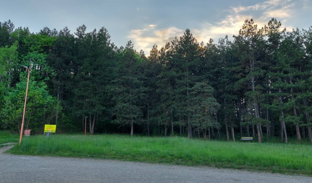 Zaječarci Međunarodni praznik rada dočekuju kod kuće ili na selu, za inostranstvo se nema para 3