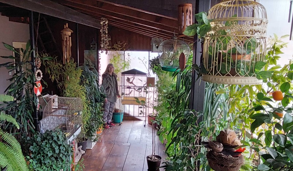 Zaječarka Vesna ostavila je svoj posao i posvetila se gajenju papagaja, činčila i egzotičnog bilja 4
