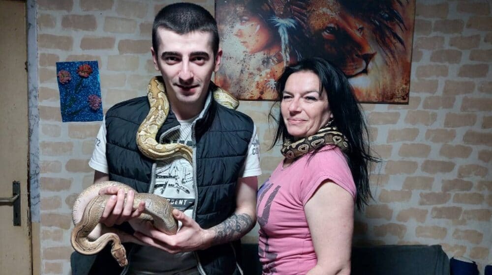 Tri pitona, četiri tarantule, papagaji, pas, mačka, pacovi i hrčci: Veselo društvo porodice Đorđević iz Zaječara 1