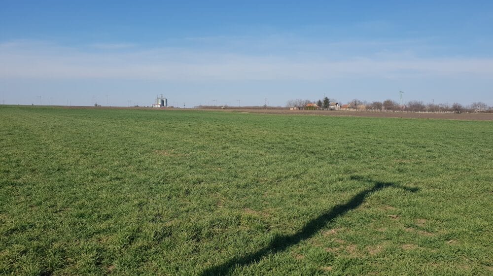 Procenitelji da utvrde vrednost njiva u Bavaništu 1