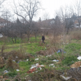 Akcija čišćenja zrenjaninskog buvljaka 11