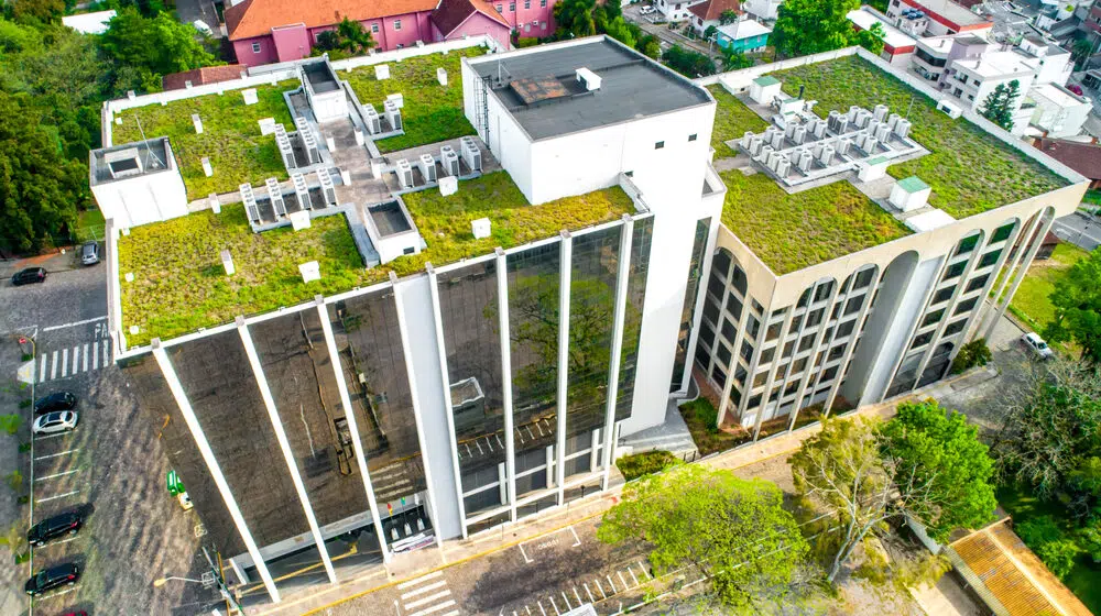 Zeleni krovovi - višestruko korisno rešenje koje u Srbiji još ne primenjujemo 1