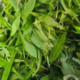 Vreme je za sremuš: Zeleno blago je dar prirode 10