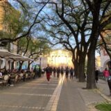 Demokratska stranka Subotica: Tražimo park umesto višespratnica na prostoru Kvantaške pijace 4