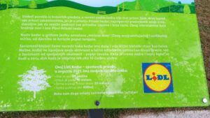 "Mirisno drvo" koje ima dušu 2