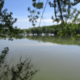 U subotu čišćenje Tise i njenog priobalja u Novom Bečeju 2