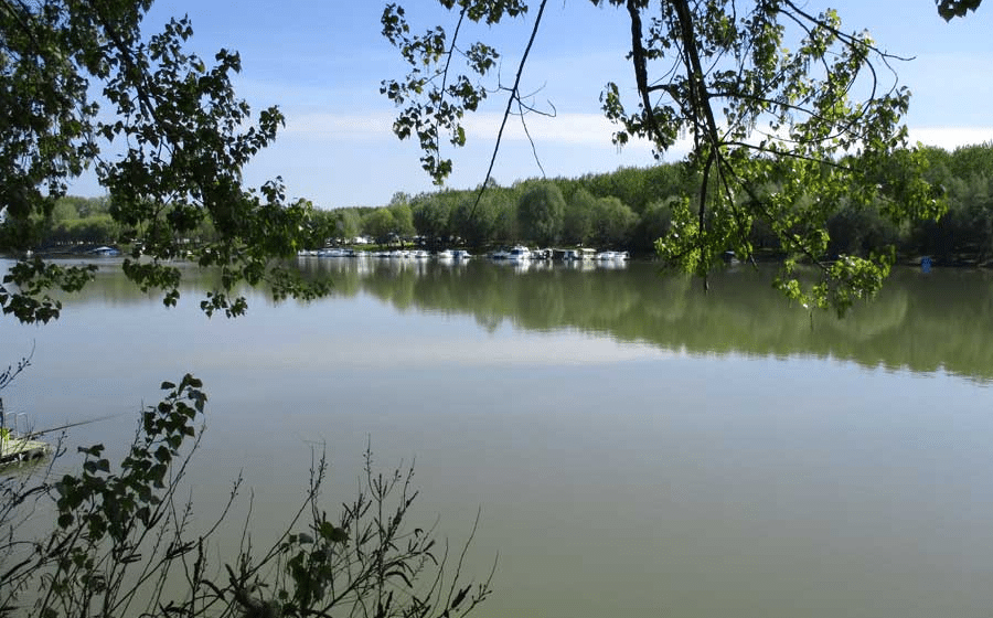 U subotu čišćenje Tise i njenog priobalja u Novom Bečeju 1