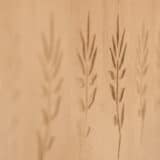 Zrenjanin: Klub finih zanata u Mošorinu organizuje Dane otvorenih vrata 8