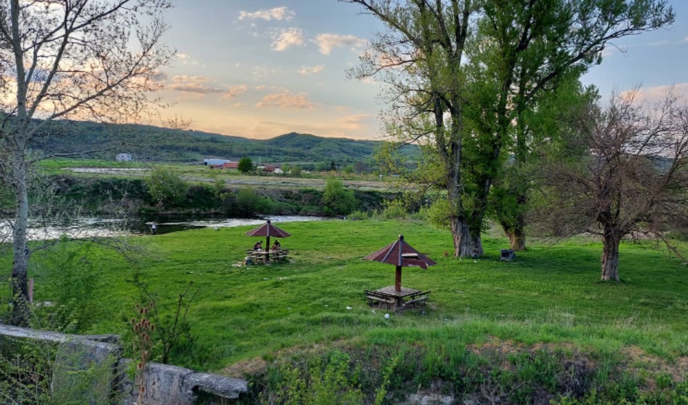 “Pa ovo nije normalno. Država nas tera da postimo i kada ne želimo”: Zaječarci o cenama mesa za praznike 4