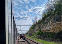 veliki borak Vozom kroz Srbiju: Od Novog Sada do Beograda - soko, od Beograda do Valjeva - kornjača 3