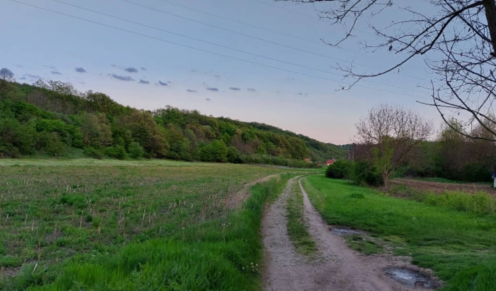 Zaječarci Međunarodni praznik rada dočekuju kod kuće ili na selu, za inostranstvo se nema para 2