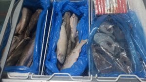 Cene u ribarnicama u Vranju, Subotici, Zaječaru, Nišu, Zrenjaninu, Novom Sadu, Užicu, Kragujevcu, Šapcu, Majdanpeku, Jagodini i Novom Pazaru 3