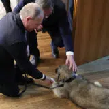 Šta Putin može da uradi ako ga Vučić naljuti zbog NIS-a? 4