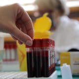 Srbija i genetika: Postoji li srpski genom i mogu li genomi da imaju nacionalni identitet 6