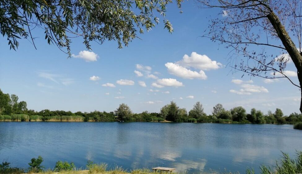 Počinje akcija čišćenja Tabanovačkog jezera kod Šapca 1