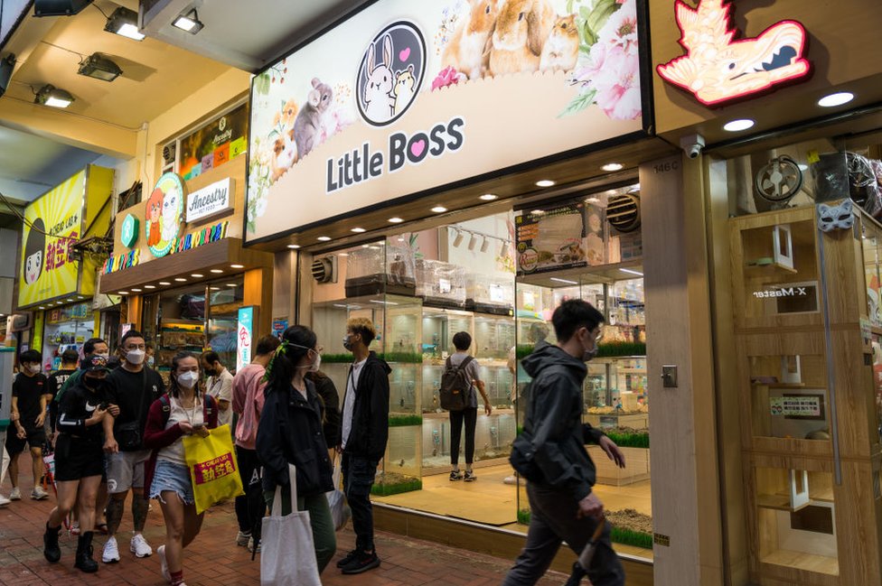 Shoppers walk outside a Little Boss store in Hong Kong, which sells hamsters and small mammals