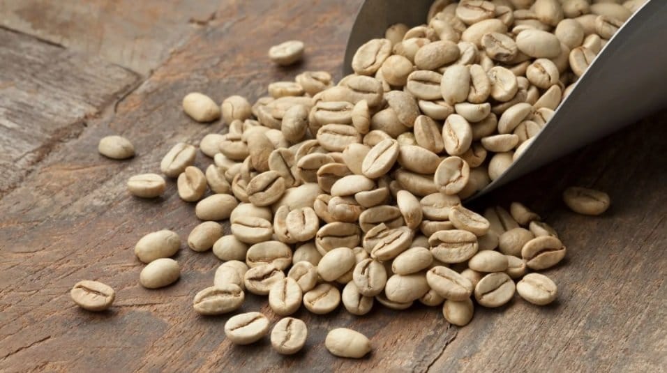 Zdravlje: Postoji li prava zamena za šoljicu ukusne kafe 8 Kofein se mora izvaditi iz zrna kafe pre nego što se prže