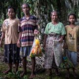 Hrana, zdravlje i klimatske promene: Proizvođači palminog ulja uskraćuju plemenima milione dolara 6