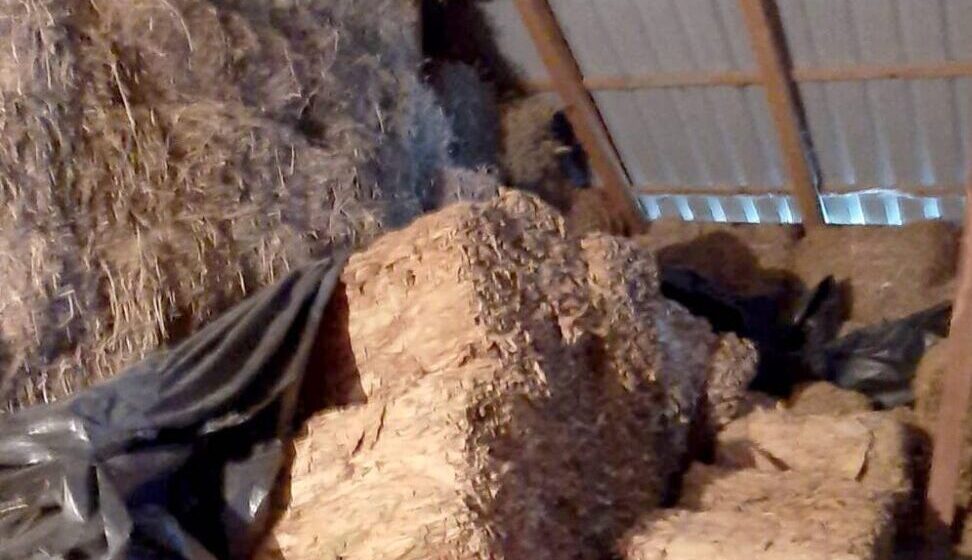 Policija u Bogatiću podnela krivičnu prijavu protiv muškarca u čijoj je štali našla tonu duvana 1