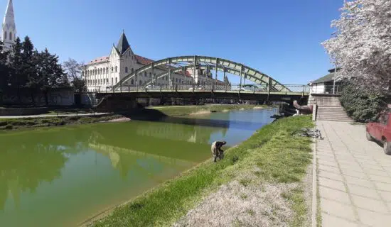 Unija Roma Srbije: Posle pronalaska tela u jezeru, potrebno utvrditi individualnu i komandnu odgovornost 7