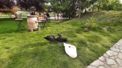 Gužve i u Semberiji: Gde su srpski turisti proveli praznične dane 4