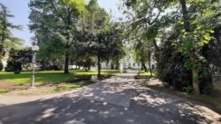 20220504_111817 Novi cvetni aranžmani za Gradsku baštu u Zrenjaninu 2