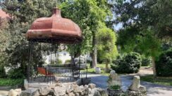 20220504_111849 Novi cvetni aranžmani za Gradsku baštu u Zrenjaninu 4