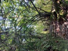 Subotičanin Nemanja Mutić u gerilskom kampu Fidela Kastra Subotičanin pet meseci živeo i radio na Kubi, a bio je i u gerilskom kampu Fidela Kastra 5