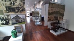 20220511_181843 Kako je tekla kolonizacija Vojvodine: U obećanoj zemlji belog hleba koloniste dočekala gola zemlja 5