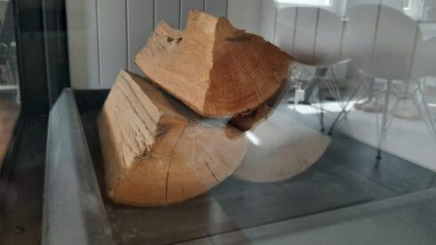 Na stovarištima u Zrenjaninu jagma za ogrevom 4