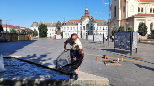20220526_081041(1) Zrenjanin: Čiste se ulice i uklanjaju posledice nevremena, na njivama pričinjena šteta 4