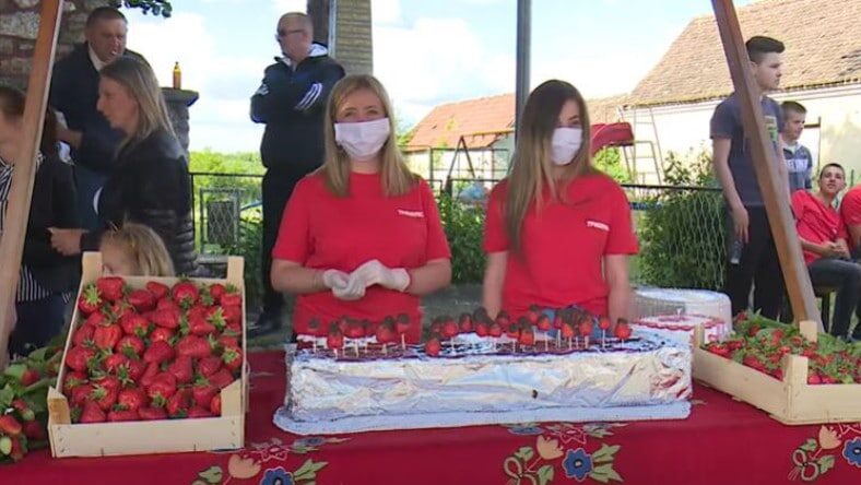 Festival jagoda u Culjkoviću kod Šapca 1