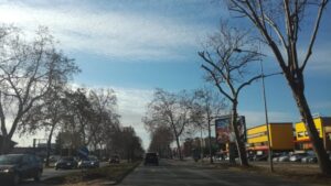 "Najavljeni drvocid koji sprovodi Grad Novi Sad je počeo": Novosađani zbog investitora ostaju bez zelenila 2 "Najavljeni drvocid koji sprovodi Grad Novi Sad je počeo": Novosađani zbog investitora ostaju bez zelenila 2