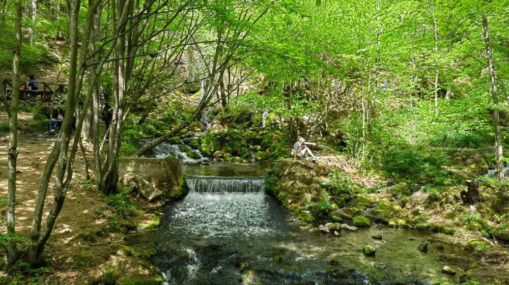 Mladi Paraćinci organizuju akciju čišćenja izletišta Grza 1