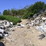 Vesić: Od početka godine uklonjeno 100 divljih deponija na teritoriji grada 8