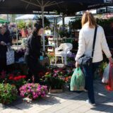 Danas i sutra još jedna Cvetna pijaca ispred SPENS-a 10