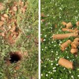 Misteriozne bušotine na imanju Milana Avramovića u požeškom selu Uzići 11