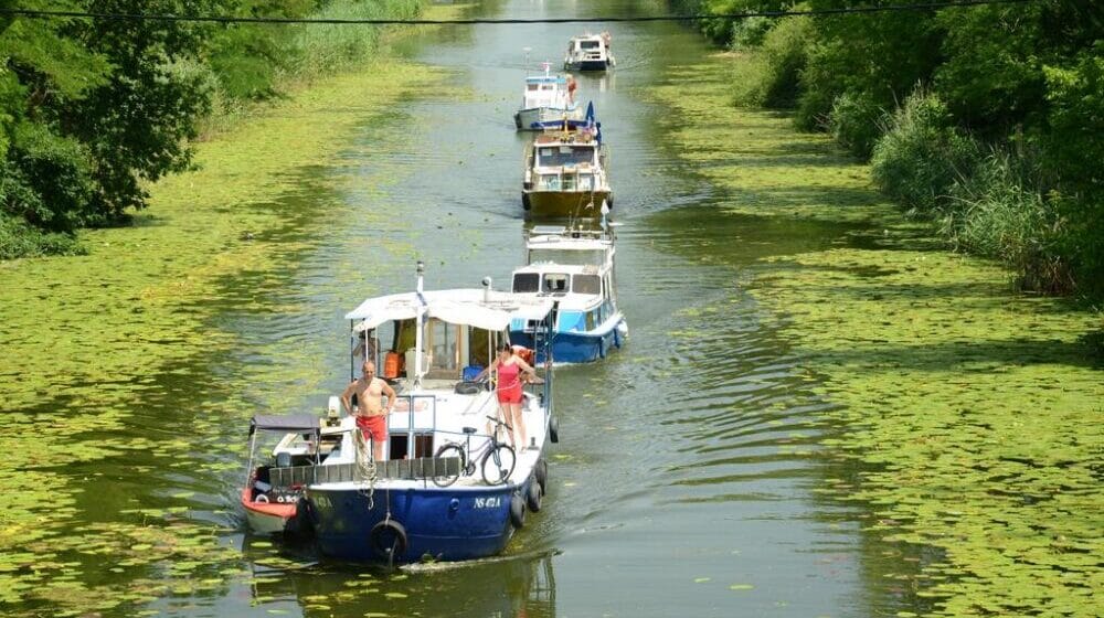 Otvorene prijave za Međunarodnu regatu "Vode Vojvodine" 1 Otvorene prijave za Međunarodnu regatu "Vode Vojvodine" 1