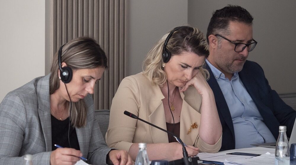 CEFTA radi na proširenju Zelenih koridora na sve prelaze sa susednim EU članicama 1