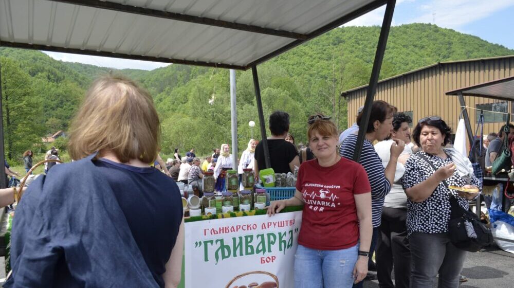Zbog čega je Žaklina ostavila posao u velikoj kompaniji i odlučila da se vrati u svoje selo između planina Deli Jovan i Stol 1