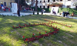 Kako je nastao prvi Park ćirilice u Srbiji, koji je otvoren u Bajinoj Bašti 4 Kako je nastao prvi Park ćirilice u Srbiji, koji je otvoren u Bajinoj Bašti 4