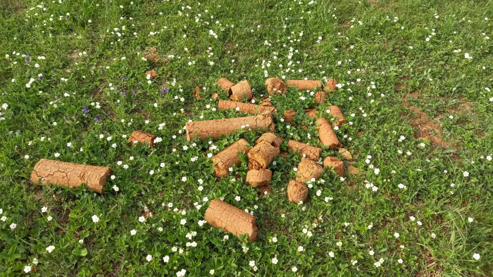 Misteriozne bušotine na imanju Milana Avramovića u požeškom selu Uzići 4