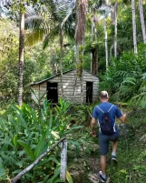 Subotičanin Nemanja Mutić u gerilskom kampu Fidela Kastra Subotičanin pet meseci živeo i radio na Kubi, a bio je i u gerilskom kampu Fidela Kastra 8