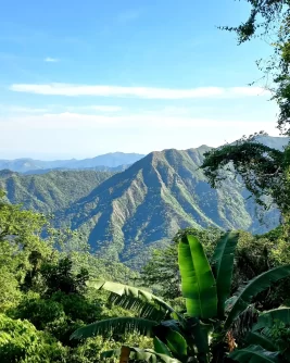 Subotičanin Nemanja Mutić u gerilskom kampu Fidela Kastra Subotičanin pet meseci živeo i radio na Kubi, a bio je i u gerilskom kampu Fidela Kastra 7