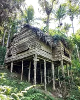 Subotičanin Nemanja Mutić u gerilskom kampu Fidela Kastra Subotičanin pet meseci živeo i radio na Kubi, a bio je i u gerilskom kampu Fidela Kastra 9