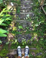 Subotičanin Nemanja Mutić u gerilskom kampu Fidela Kastra Subotičanin pet meseci živeo i radio na Kubi, a bio je i u gerilskom kampu Fidela Kastra 3