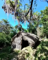 Subotičanin Nemanja Mutić u gerilskom kampu Fidela Kastra Subotičanin pet meseci živeo i radio na Kubi, a bio je i u gerilskom kampu Fidela Kastra 4