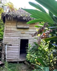 Subotičanin Nemanja Mutić u gerilskom kampu Fidela Kastra Subotičanin pet meseci živeo i radio na Kubi, a bio je i u gerilskom kampu Fidela Kastra 12