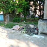 Ko ruži zrenjaninsko naselje Duvanika, gde je odrastao Bodiroga 7